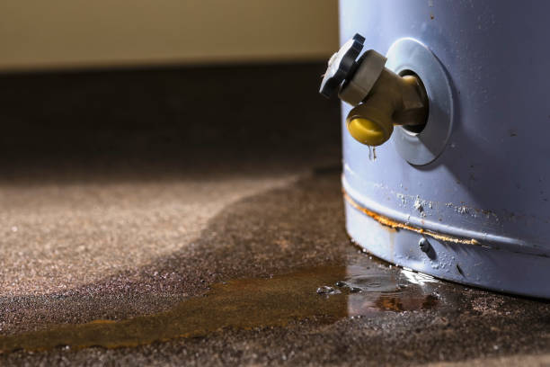 Best Basement water damage restoration  in Cudjoe Key, FL