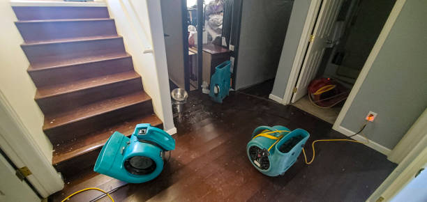 Best Sewage cleanup and water damage restoration  in Cudjoe Key, FL