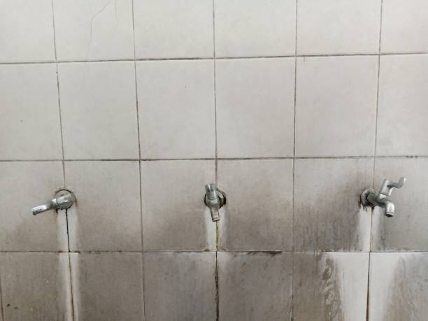 Best Commercial water damage restoration  in Cudjoe Key, FL