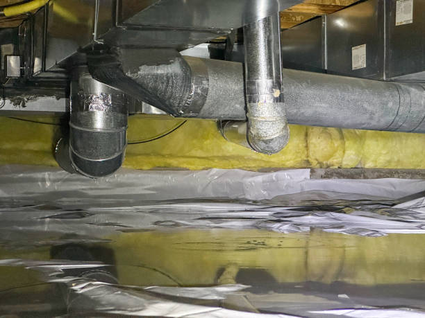 Best Flooded house restoration  in Cudjoe Key, FL
