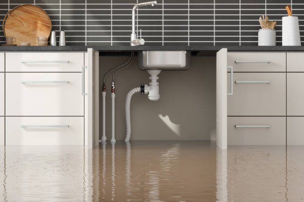 Best Water damage restoration specialists  in Cudjoe Key, FL